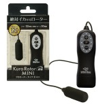 日本Wild One Type-R 120段變頻MINI小單跳蛋(黑色) 女用自慰調情刺激跳蛋 電動跳蛋 潮吹震動 成人情趣用品